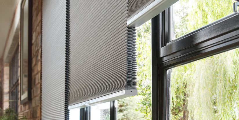 Double pleated thermal blinds